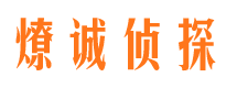 宝塔侦探公司